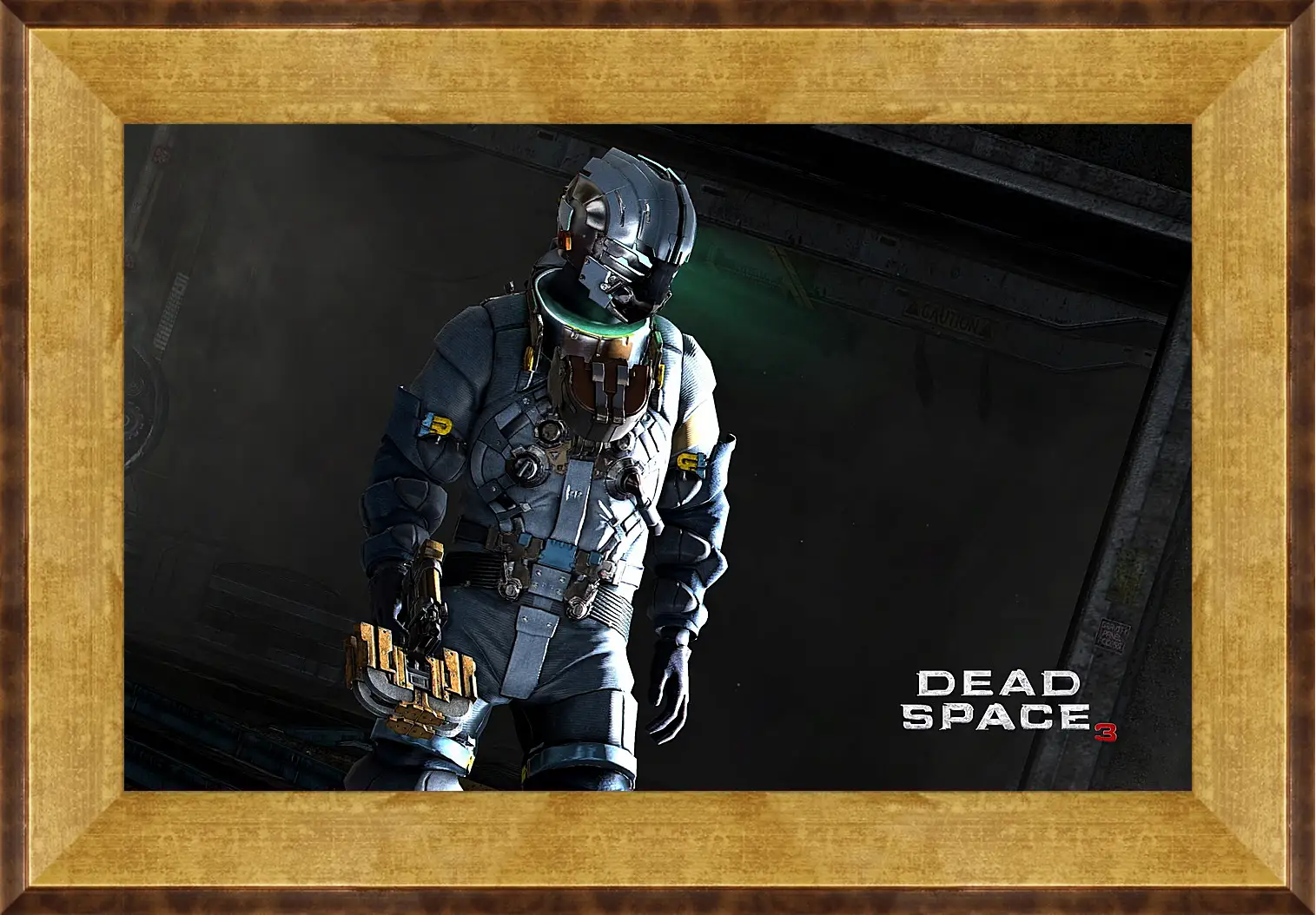 Картина в раме - Dead Space 3
