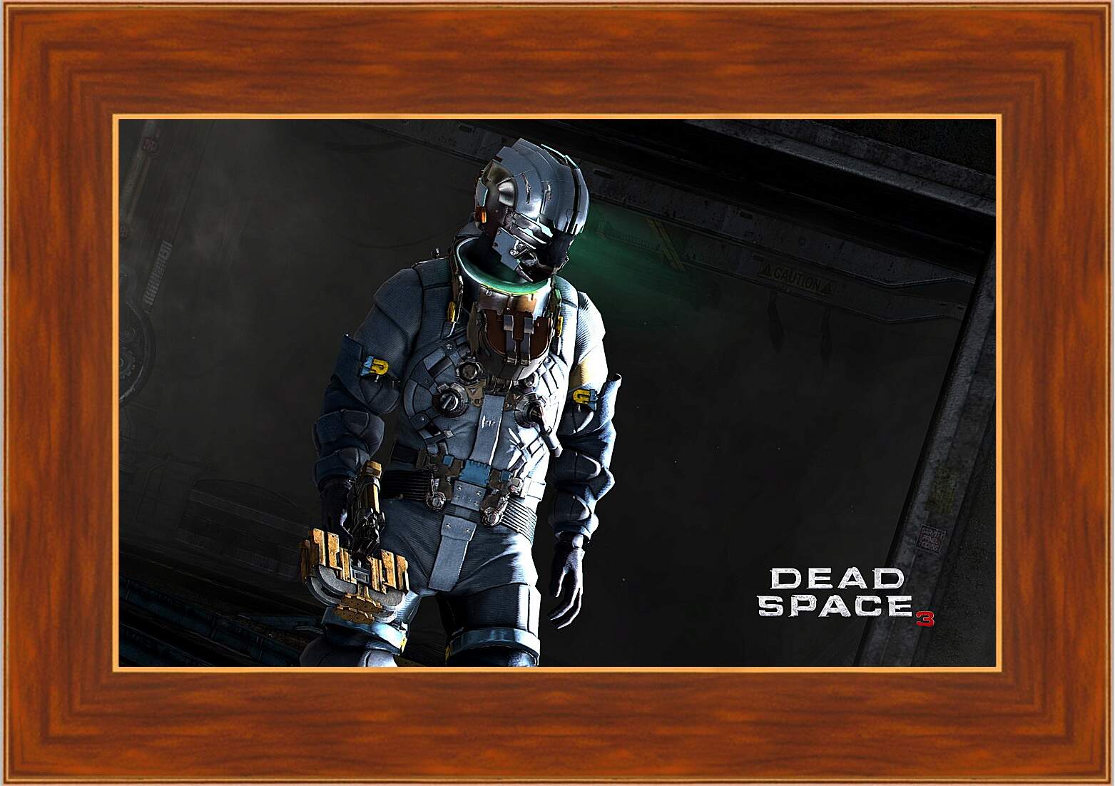 Картина в раме - Dead Space 3
