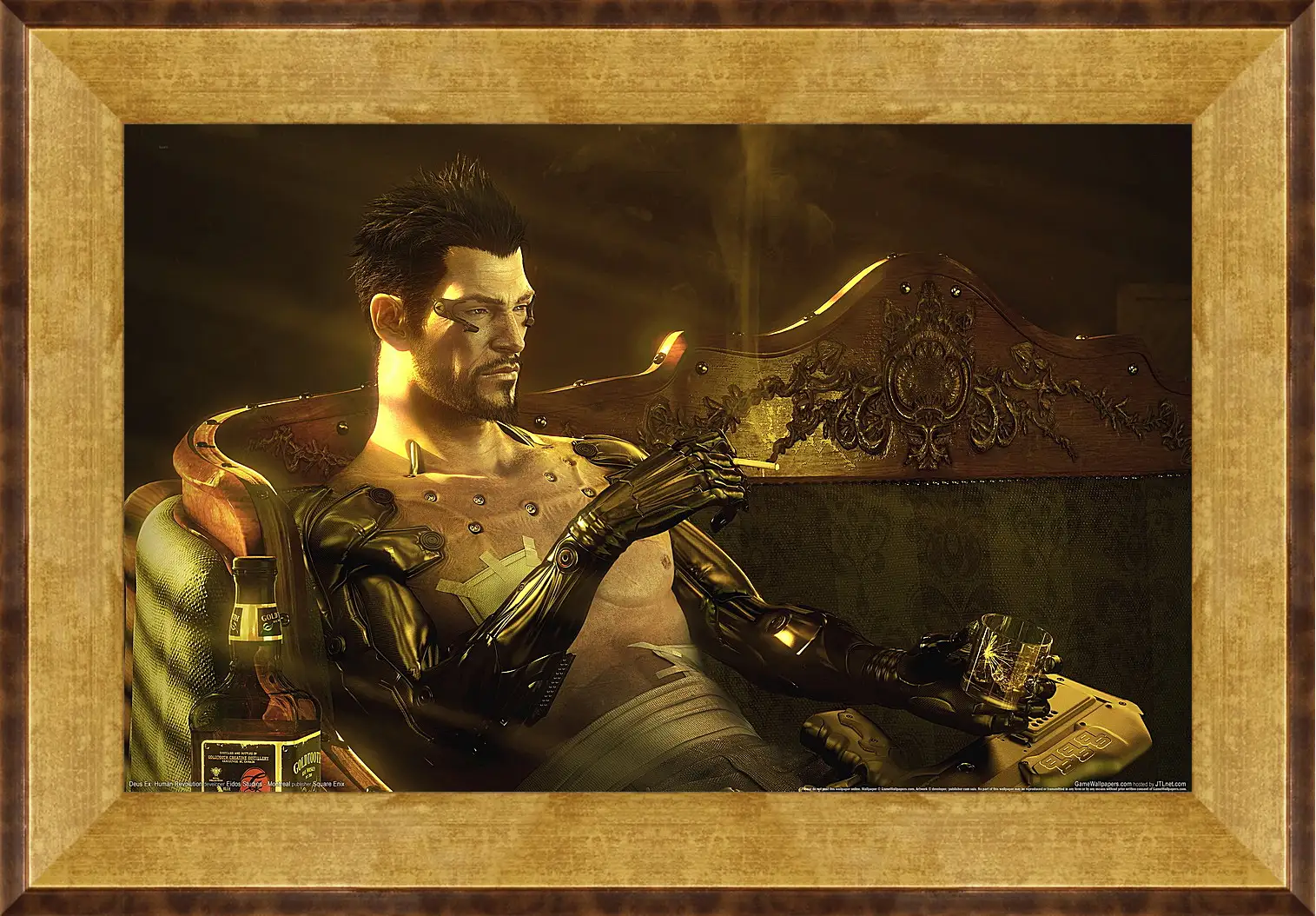 Картина в раме - Deus Ex: Human Revolution
