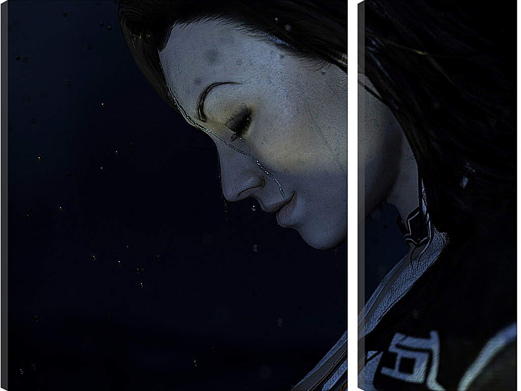 Модульная картина - Mass Effect 2
