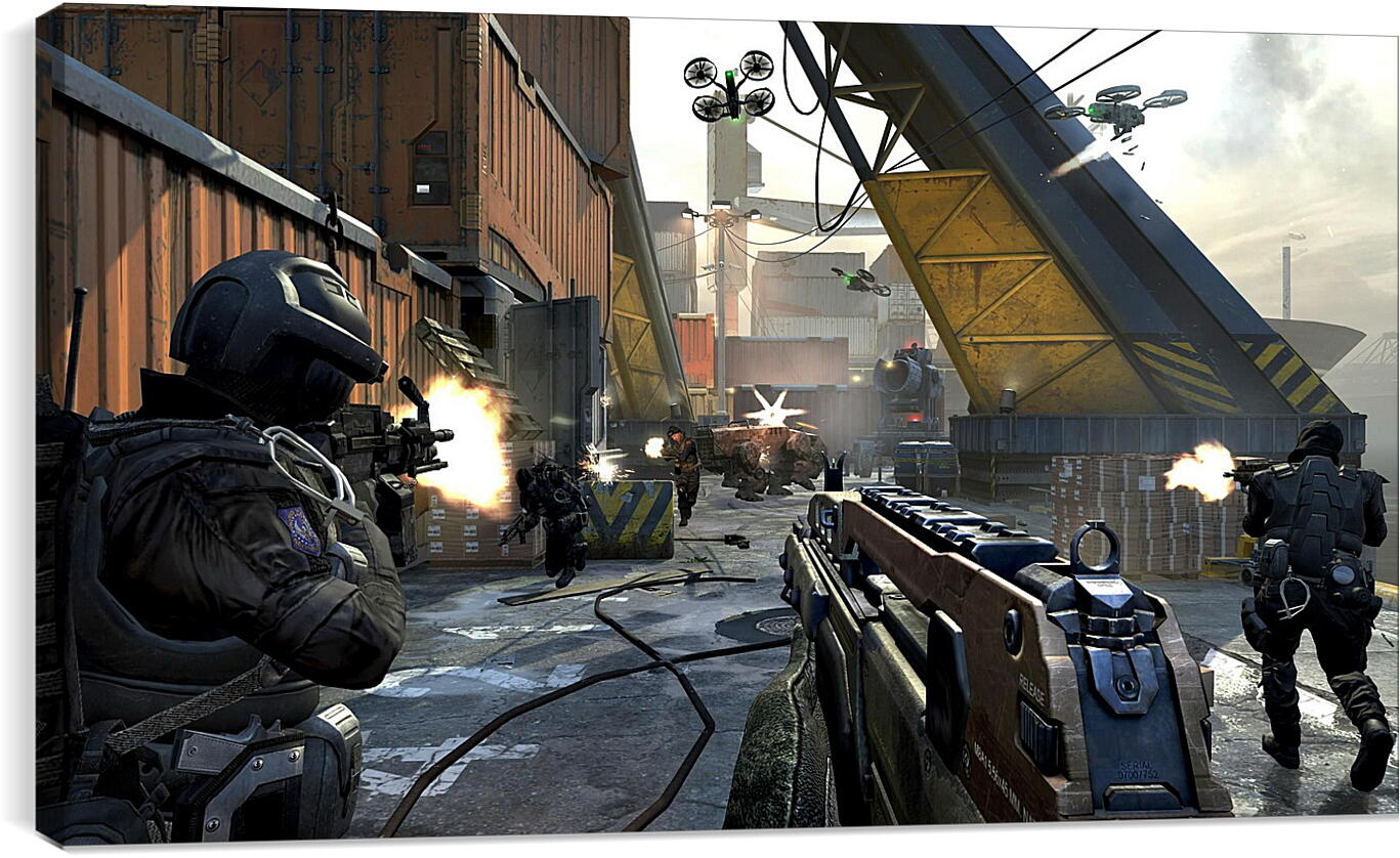 Постер и плакат - Call Of Duty: Black Ops II