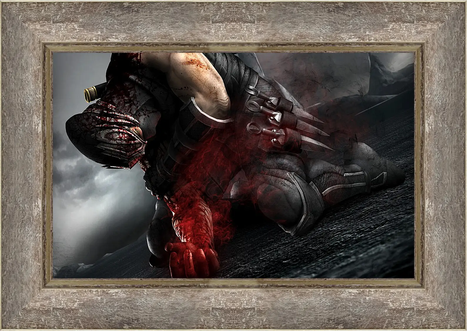 Картина в раме - Ninja Gaiden
