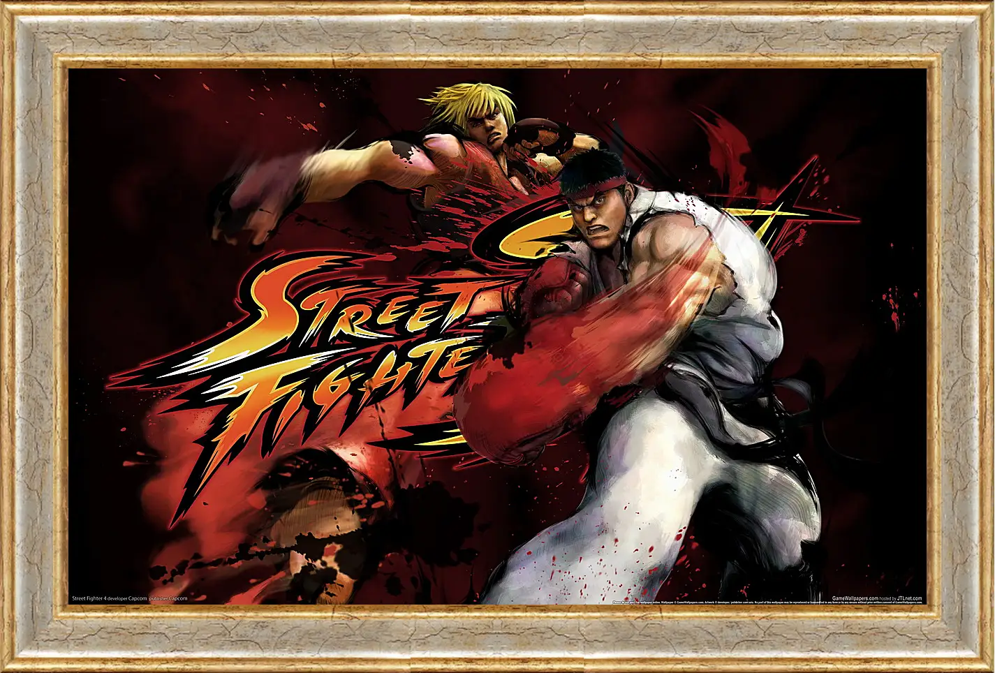 Картина в раме - Street Fighter
