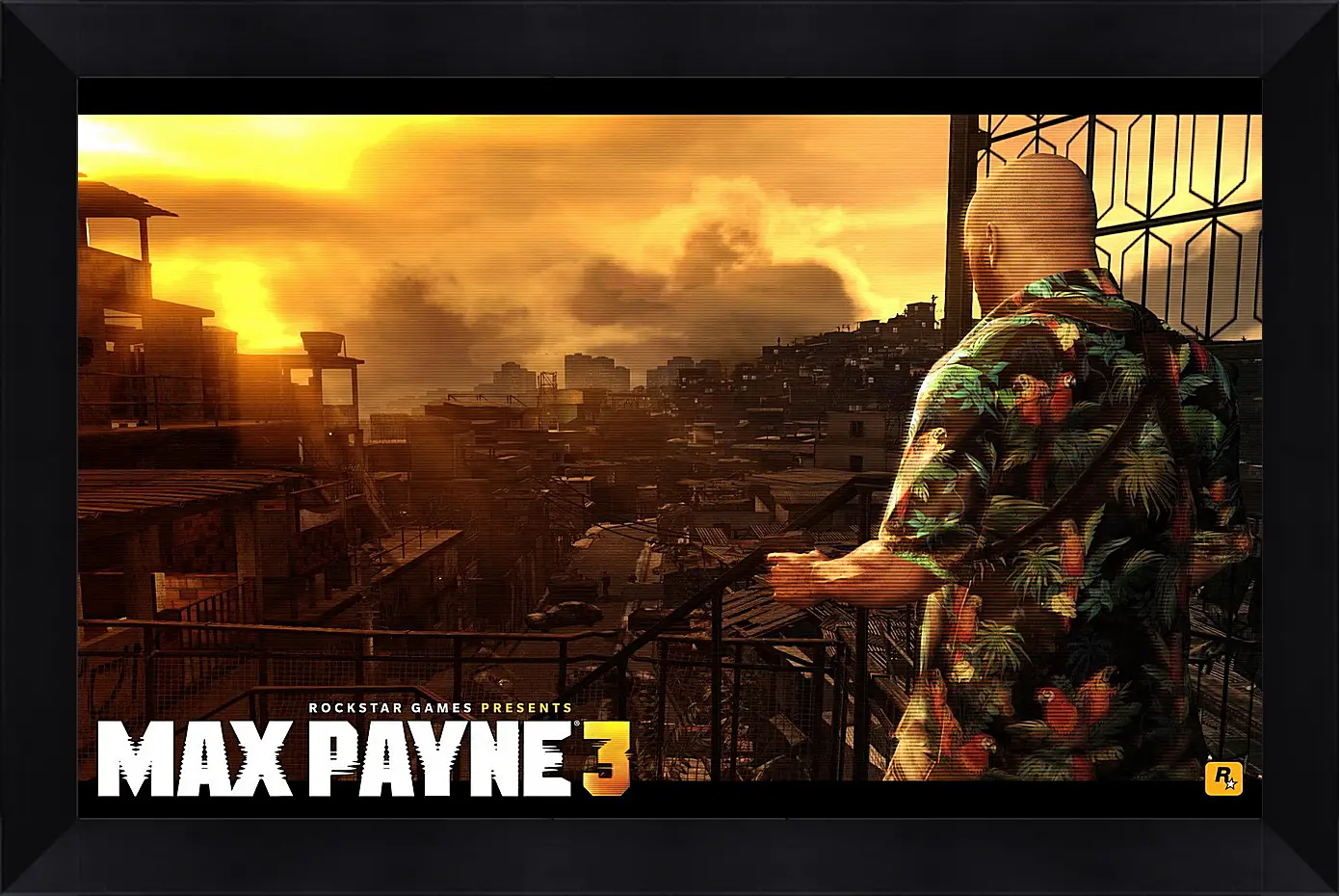 Картина в раме - Max Payne 3
