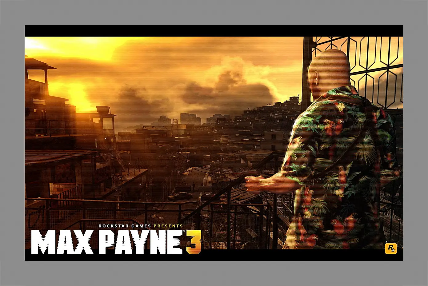 Картина в раме - Max Payne 3
