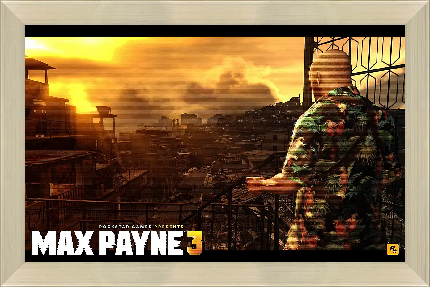 Картина в раме - Max Payne 3
