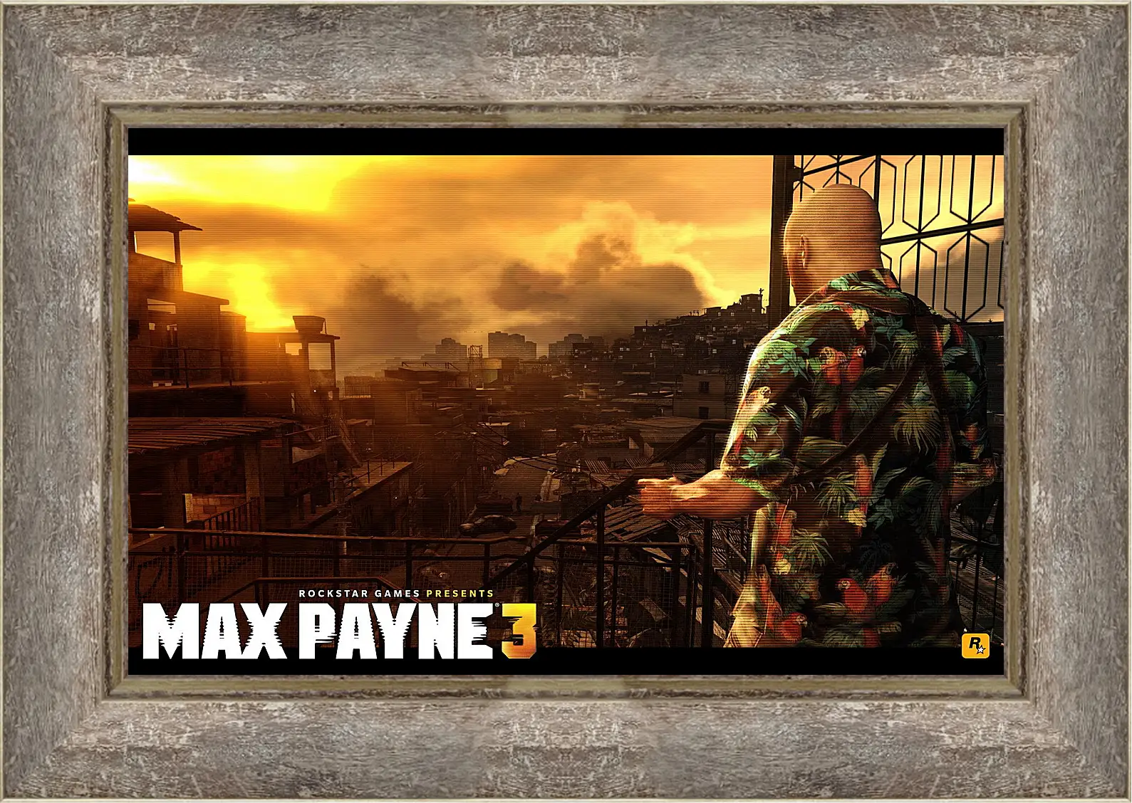 Картина в раме - Max Payne 3
