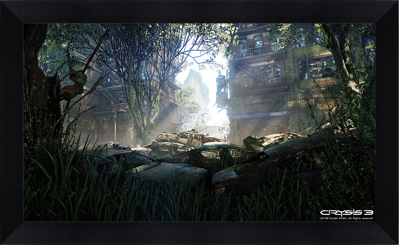 Картина в раме - Crysis 3