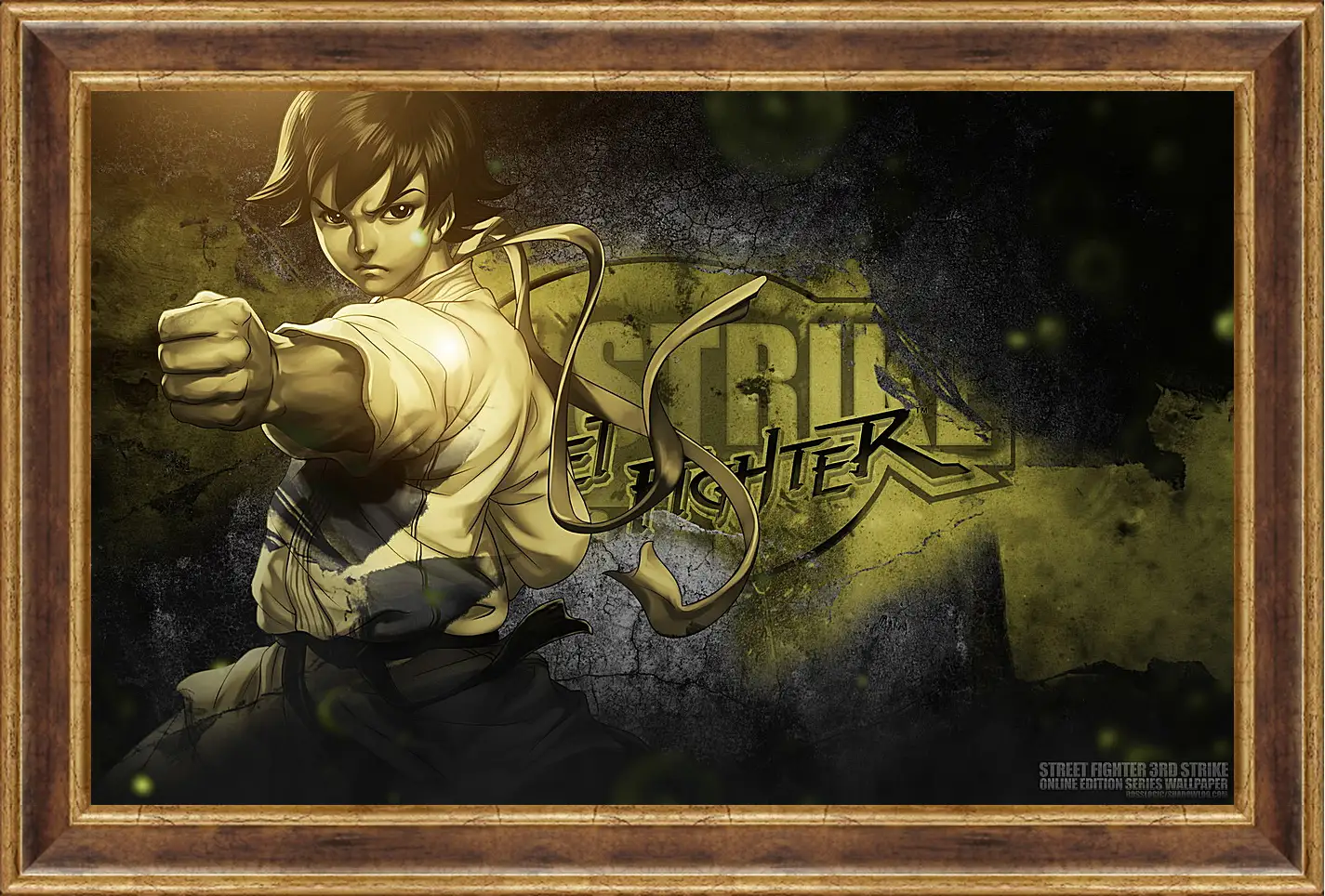 Картина в раме - Street Fighter
