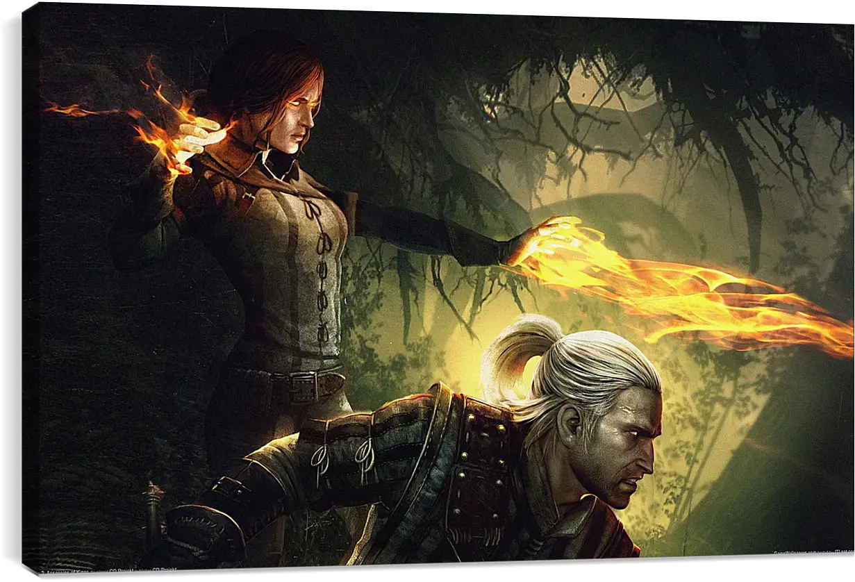 Постер и плакат - The Witcher 2: Assassins Of Kings