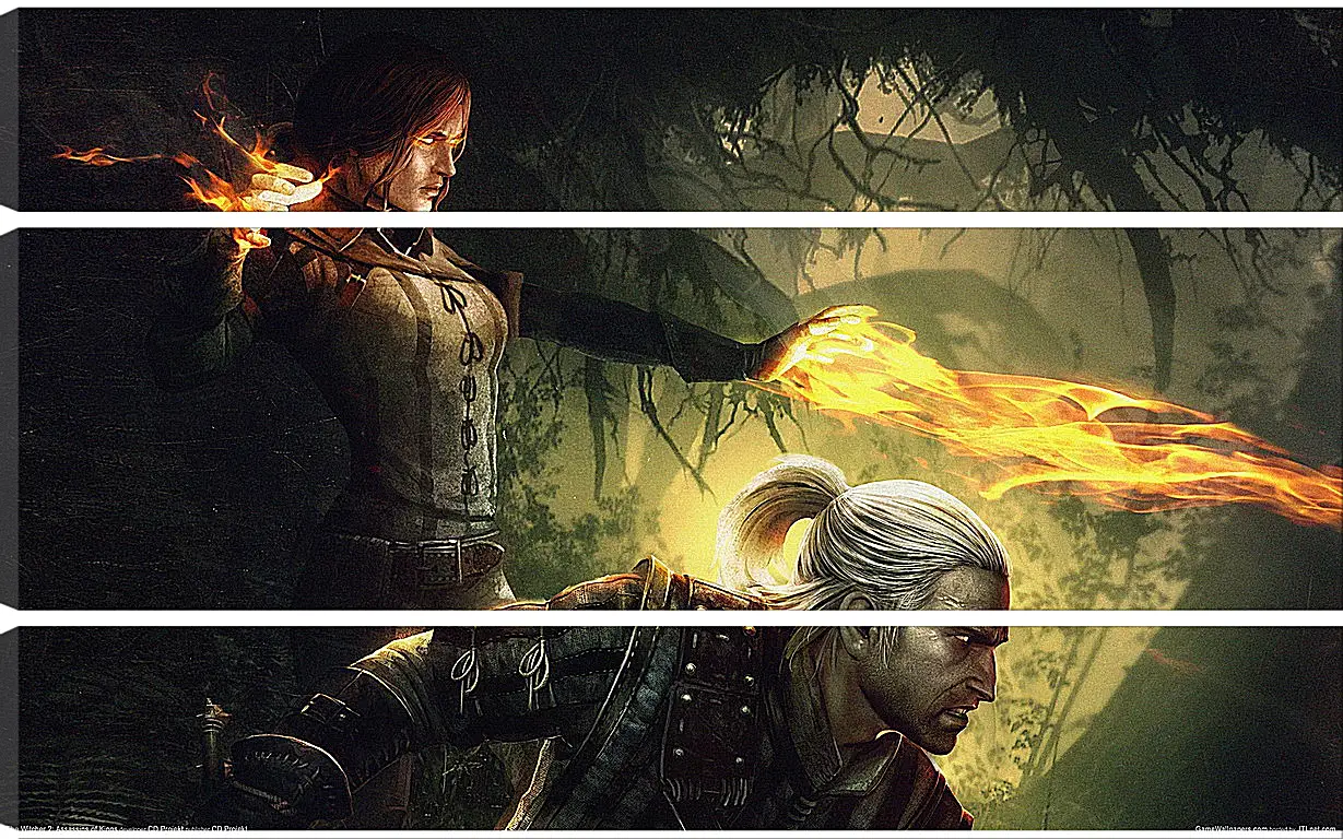 Модульная картина - The Witcher 2: Assassins Of Kings