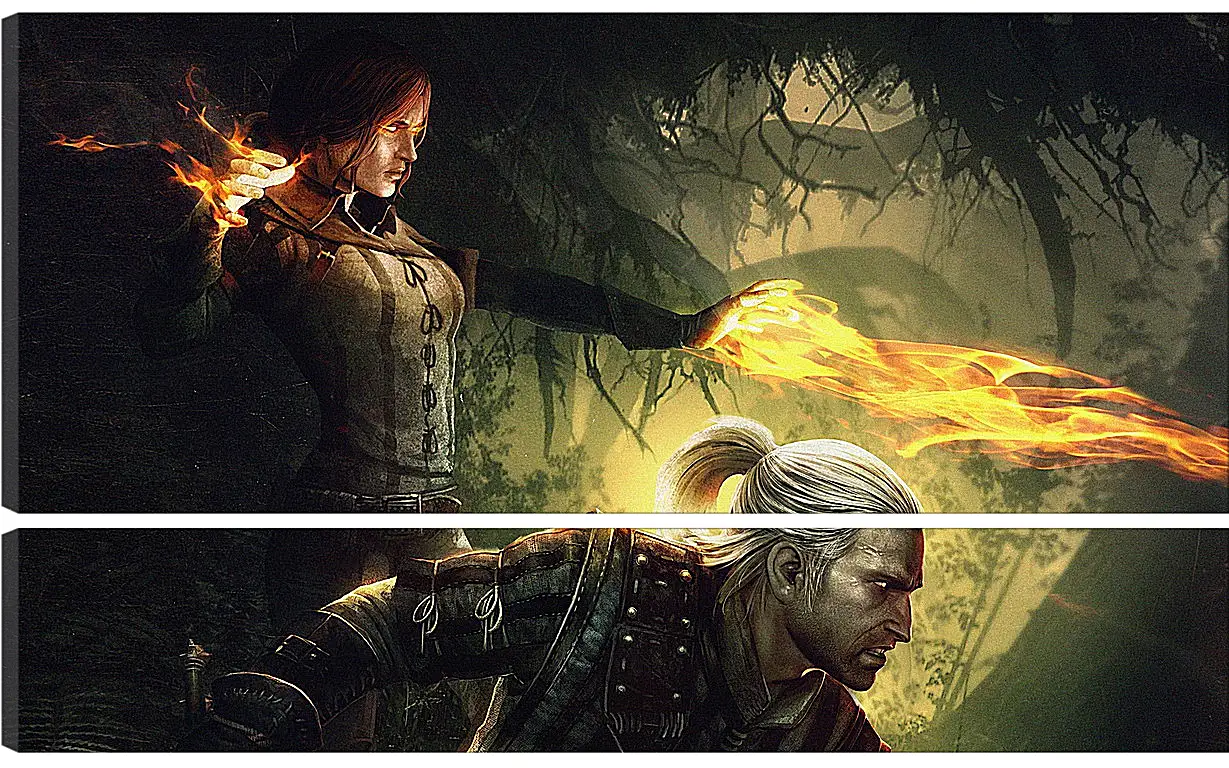 Модульная картина - The Witcher 2: Assassins Of Kings