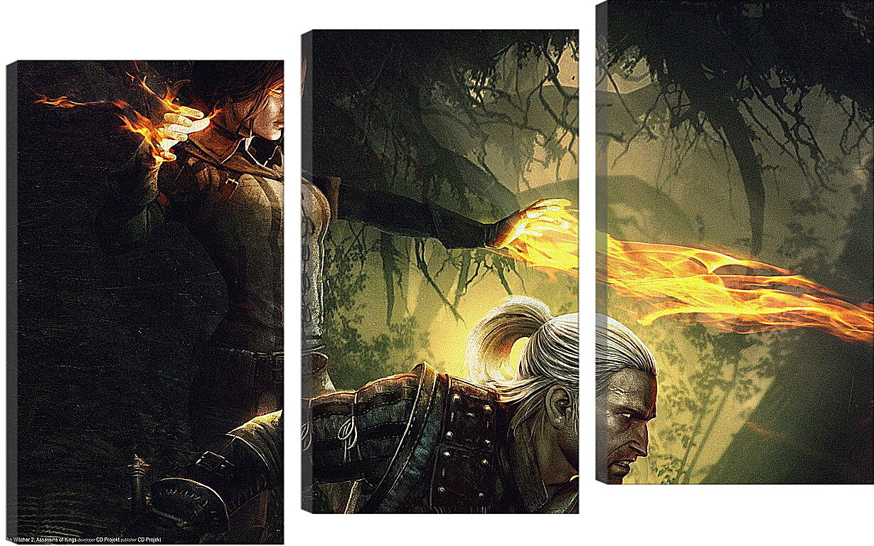 Модульная картина - The Witcher 2: Assassins Of Kings