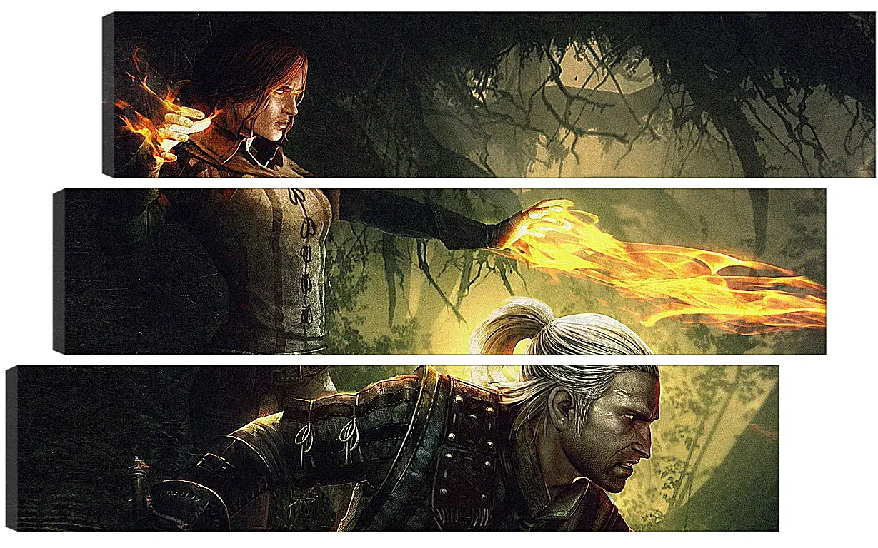 Модульная картина - The Witcher 2: Assassins Of Kings