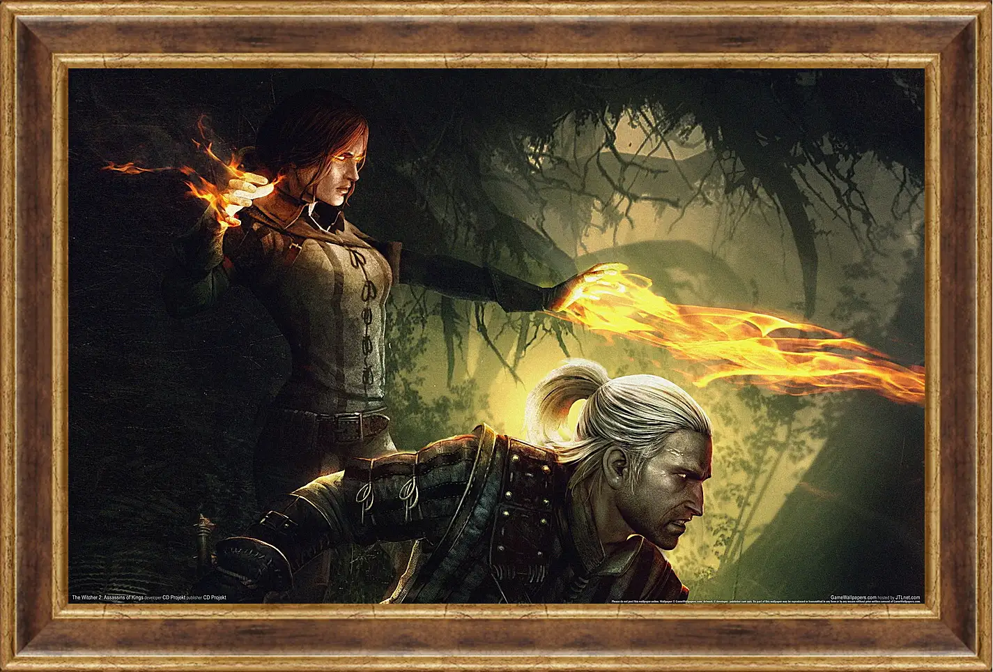 Картина в раме - The Witcher 2: Assassins Of Kings