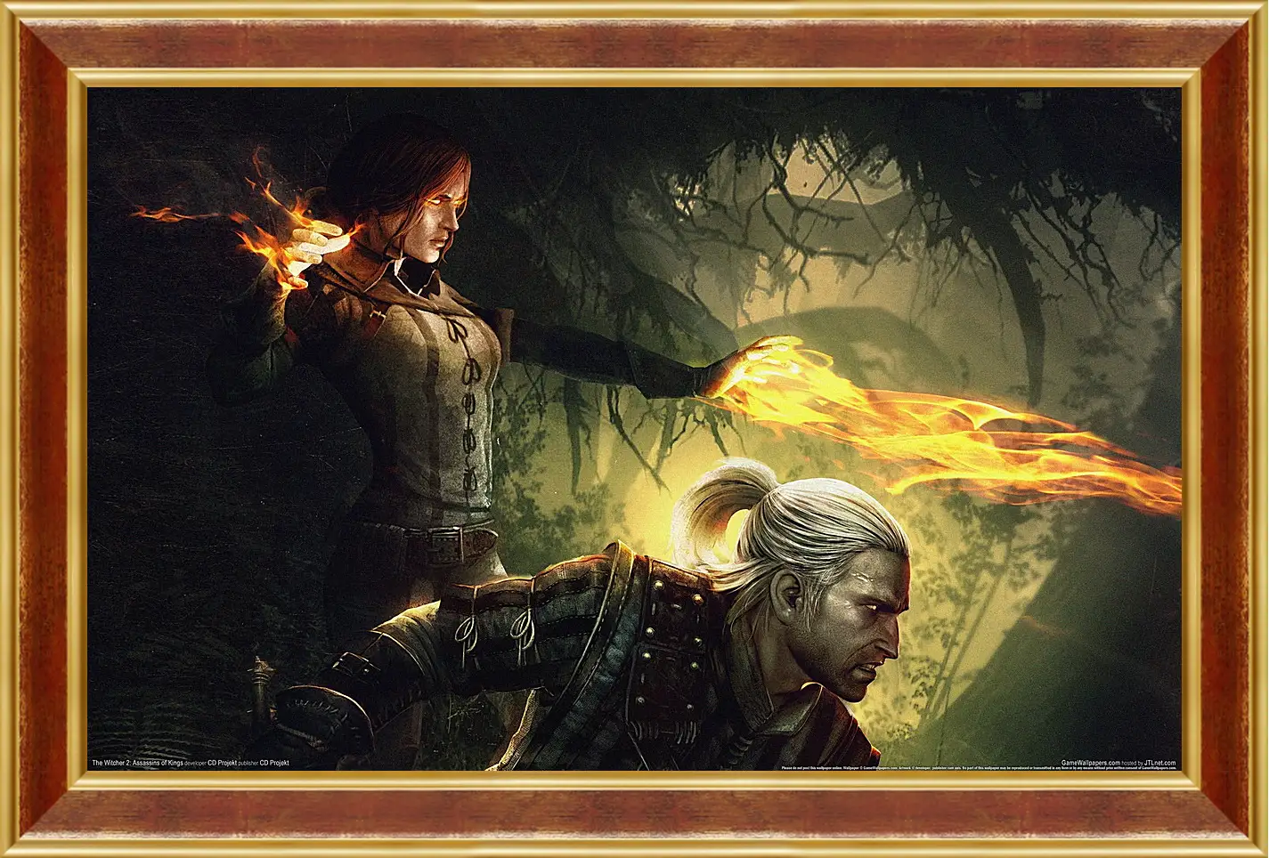 Картина в раме - The Witcher 2: Assassins Of Kings