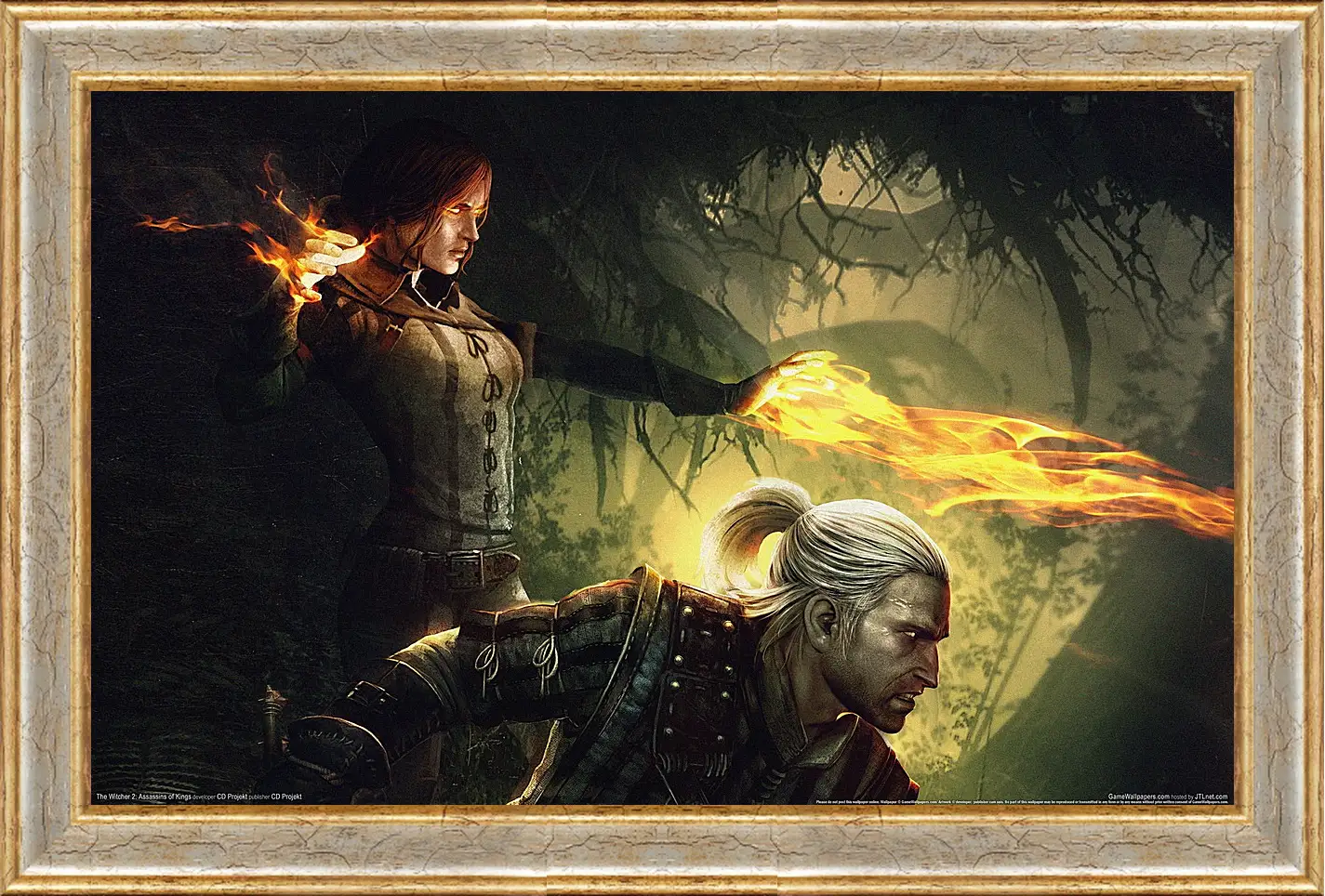 Картина в раме - The Witcher 2: Assassins Of Kings