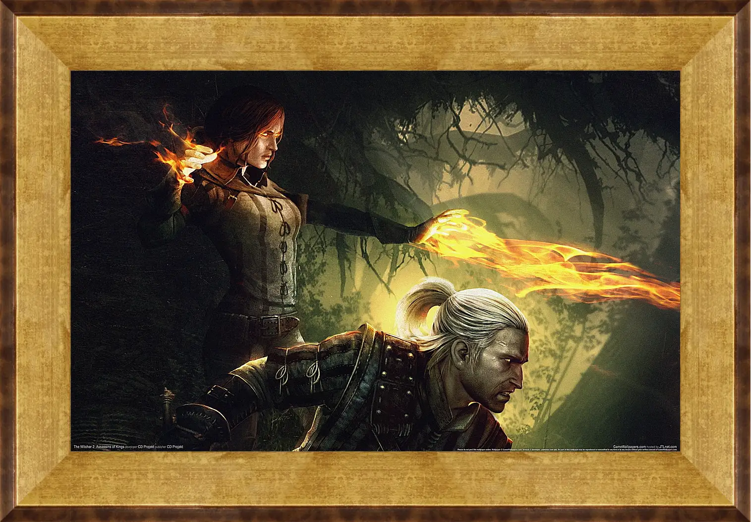 Картина в раме - The Witcher 2: Assassins Of Kings