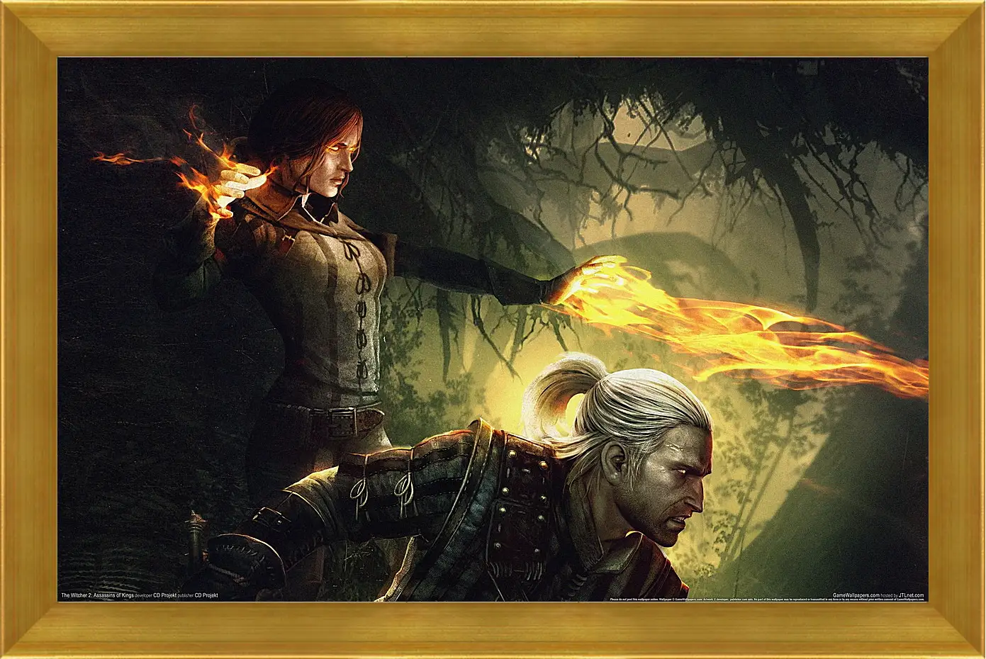 Картина в раме - The Witcher 2: Assassins Of Kings