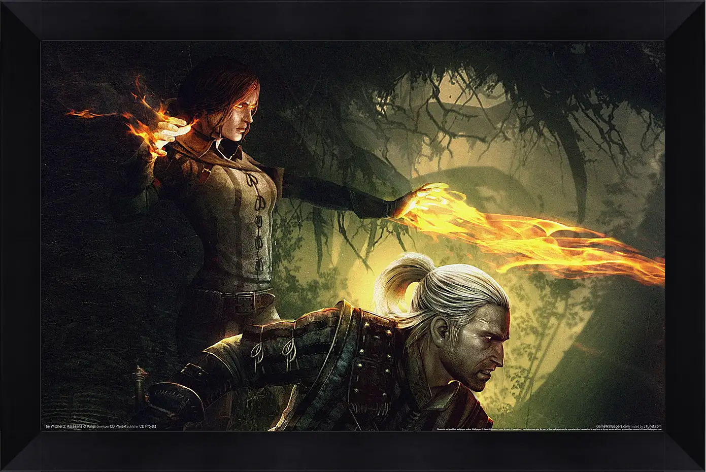 Картина в раме - The Witcher 2: Assassins Of Kings