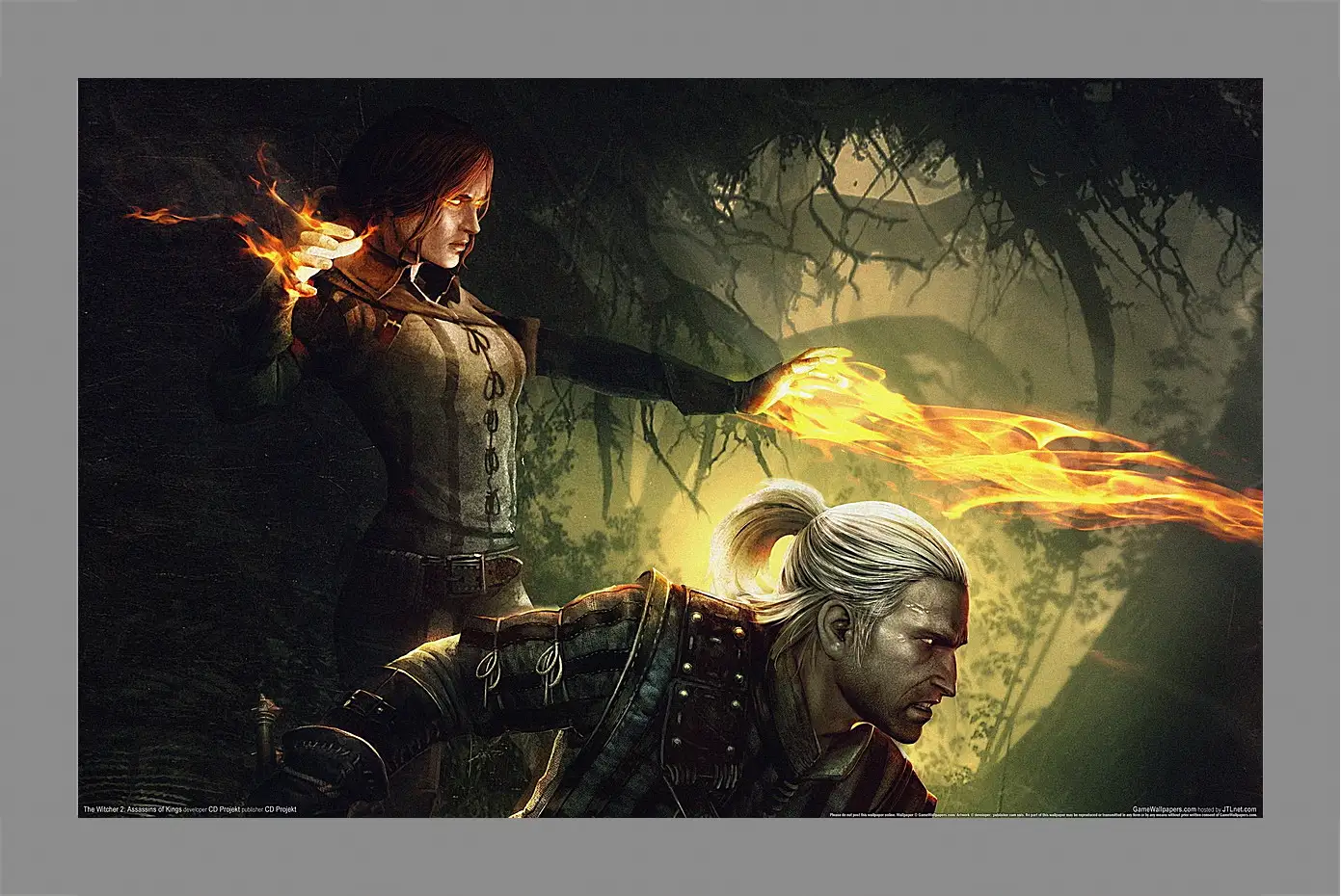 Картина в раме - The Witcher 2: Assassins Of Kings