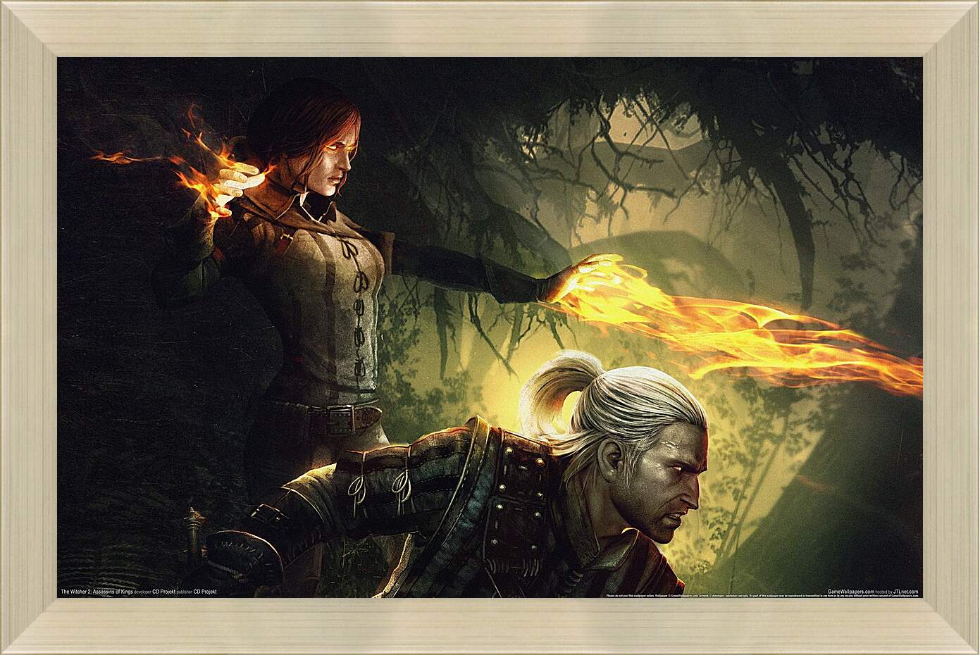 Картина в раме - The Witcher 2: Assassins Of Kings