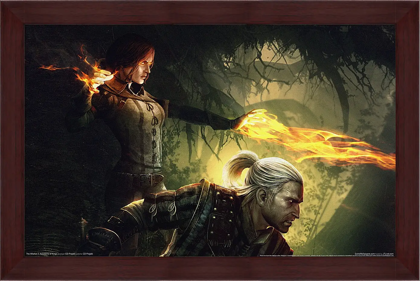 Картина в раме - The Witcher 2: Assassins Of Kings