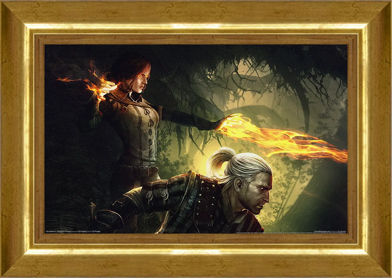 Картина в раме - The Witcher 2: Assassins Of Kings