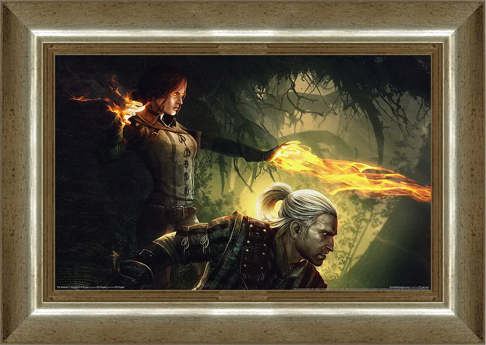 Картина в раме - The Witcher 2: Assassins Of Kings