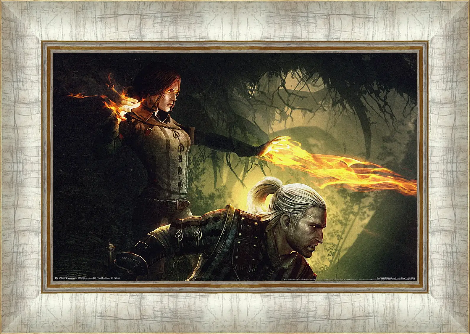 Картина в раме - The Witcher 2: Assassins Of Kings