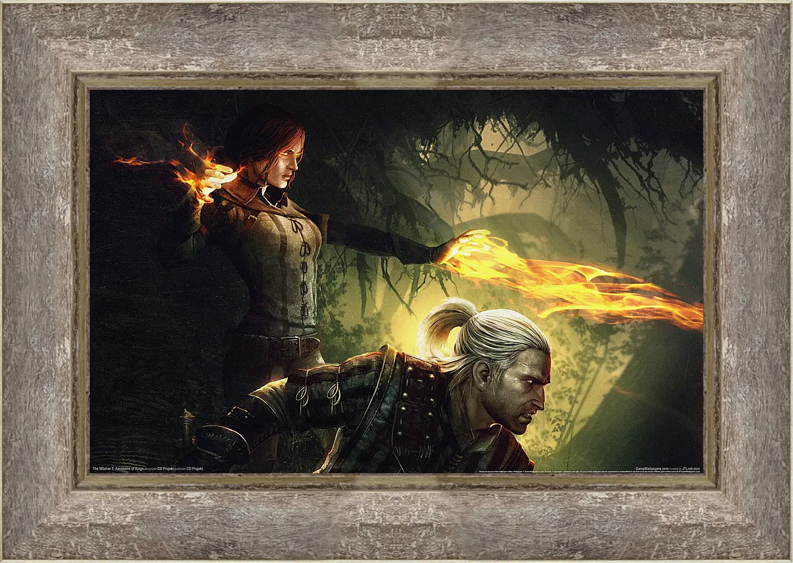 Картина в раме - The Witcher 2: Assassins Of Kings