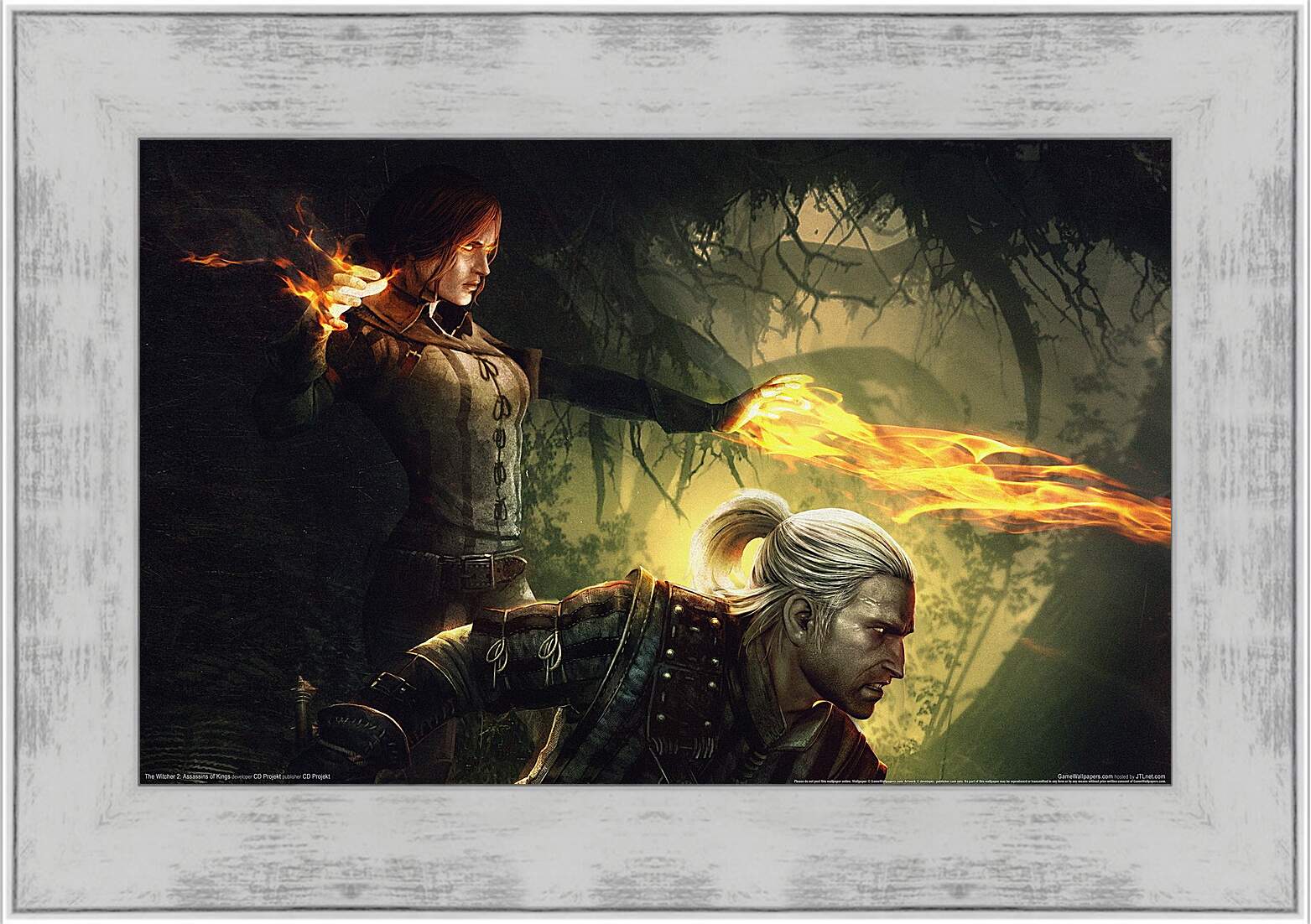 Картина в раме - The Witcher 2: Assassins Of Kings