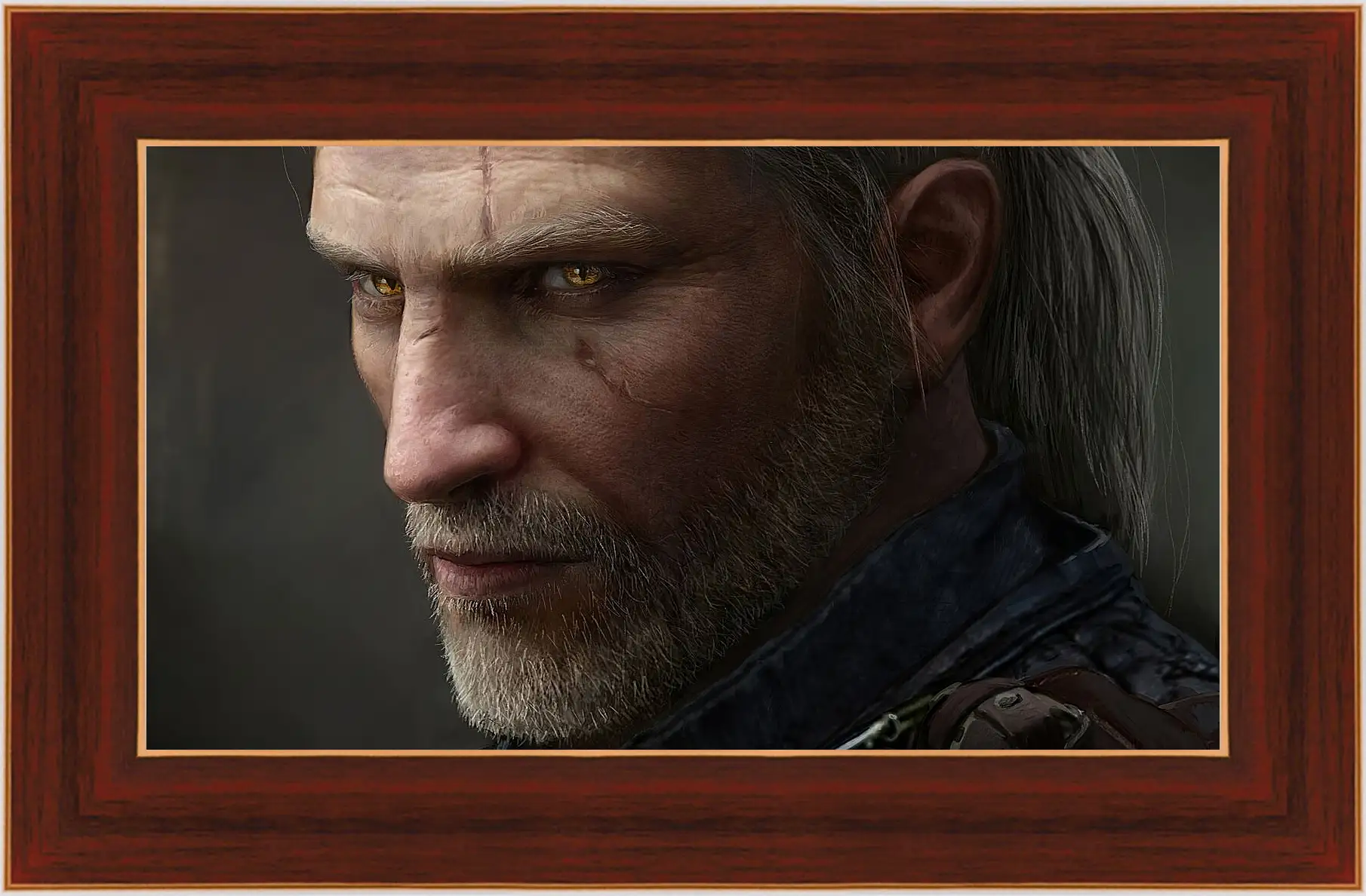 Картина в раме - The Witcher (Ведьмак), Геральт гроза нечести