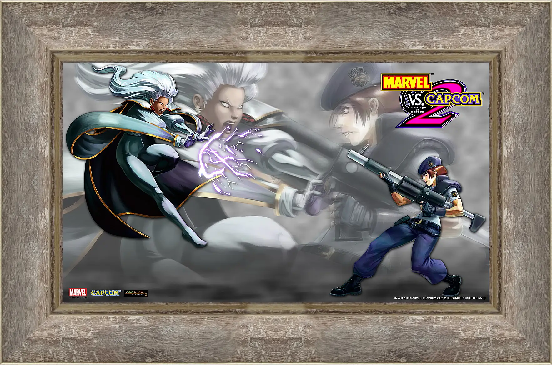 Картина в раме - Marvel Vs. Capcom 2
