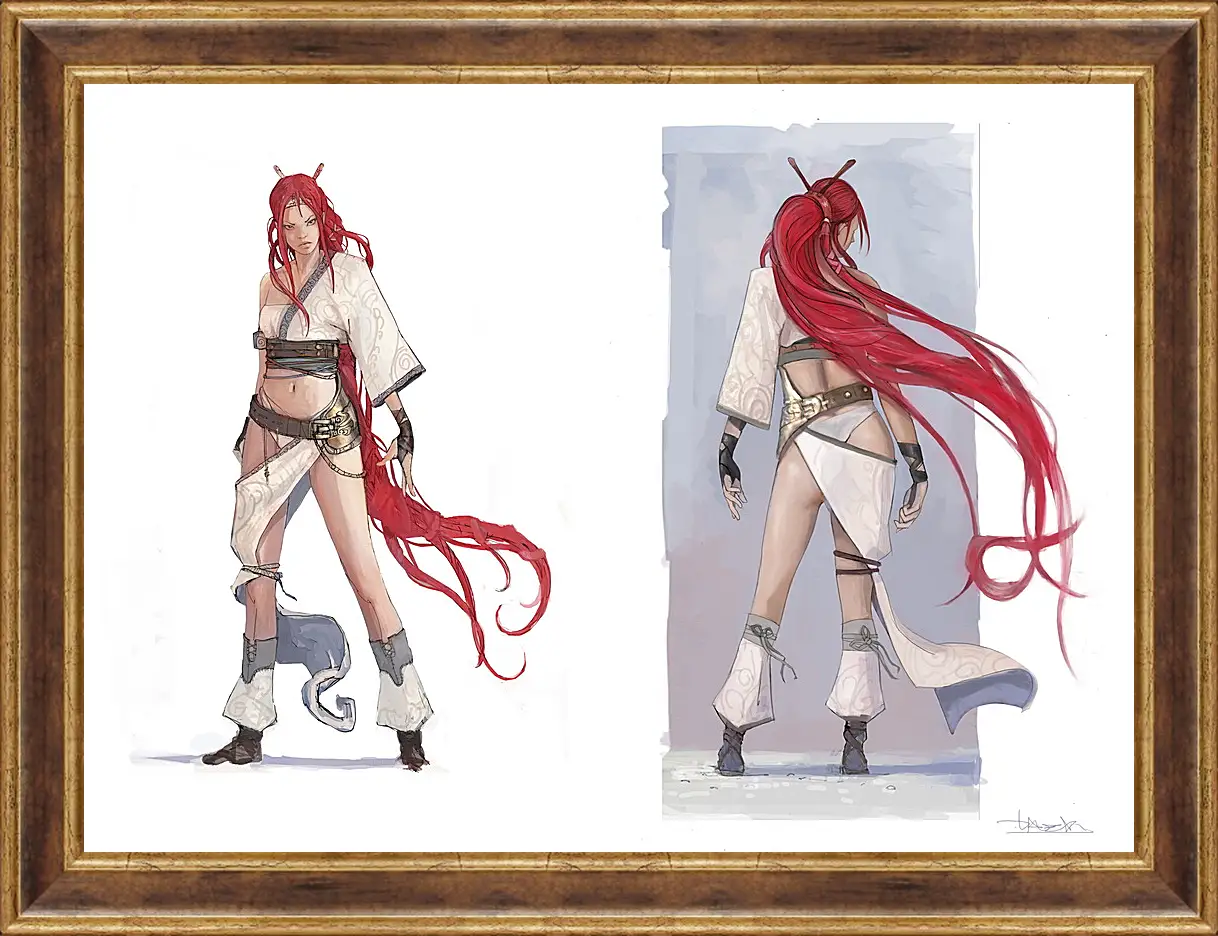 Картина в раме - Heavenly Sword
