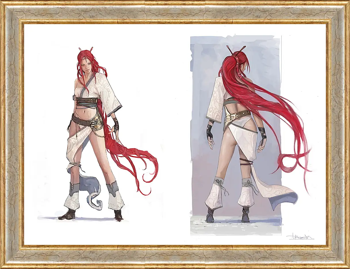 Картина в раме - Heavenly Sword
