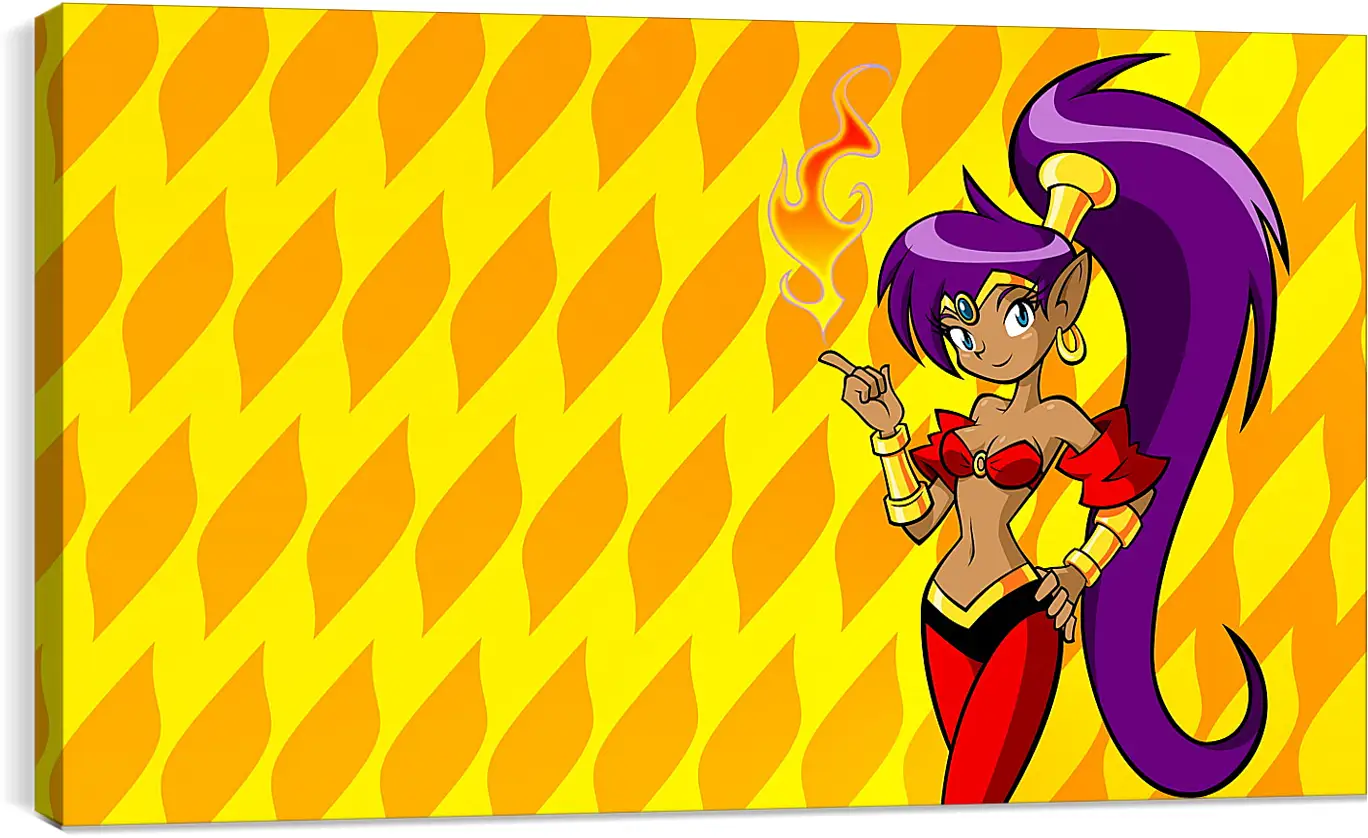 Постер и плакат - Shantae: Riskys Revenge
