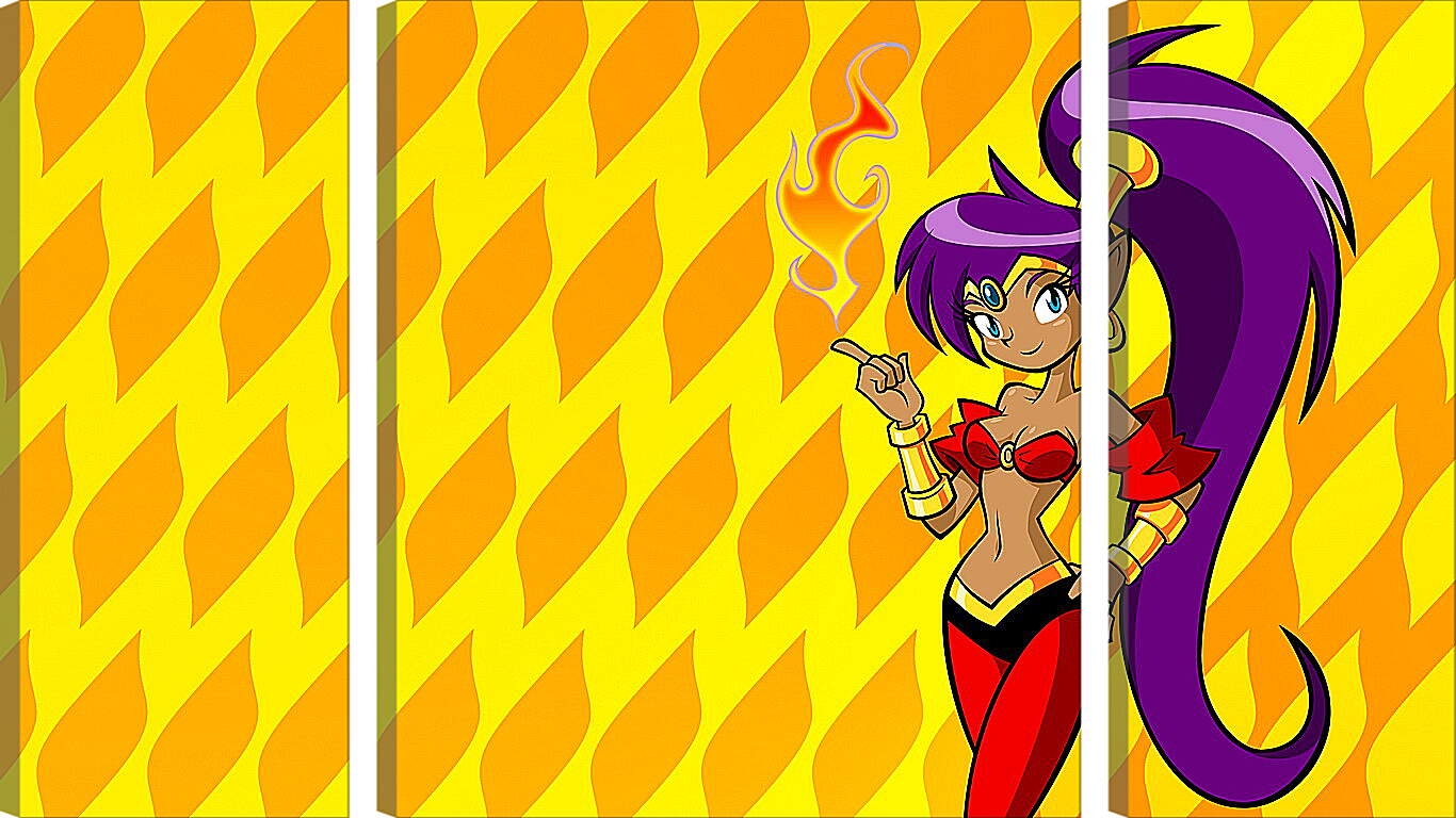 Модульная картина - Shantae: Riskys Revenge
