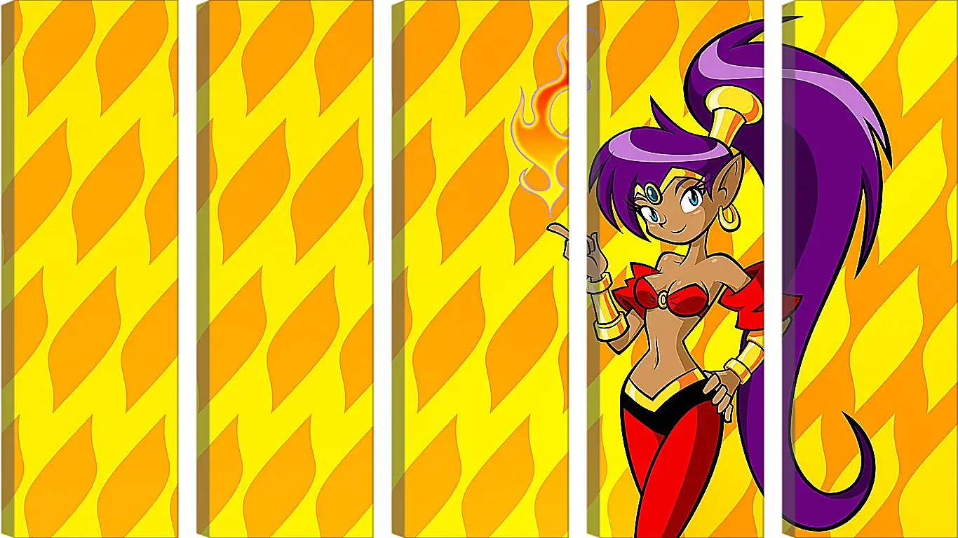 Модульная картина - Shantae: Riskys Revenge
