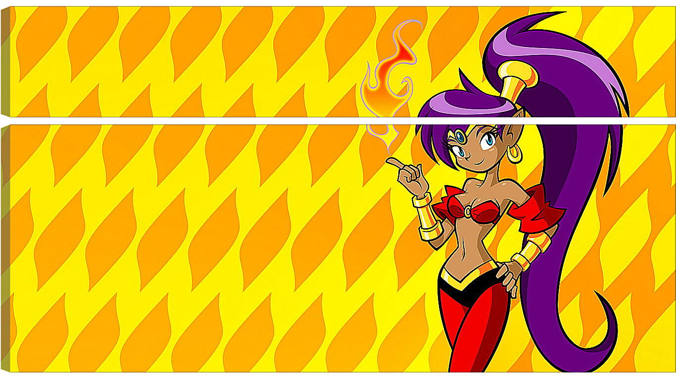 Модульная картина - Shantae: Riskys Revenge
