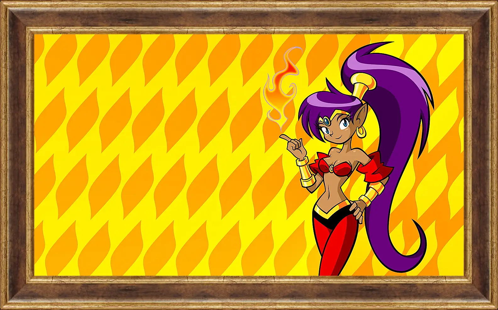 Картина в раме - Shantae: Riskys Revenge
