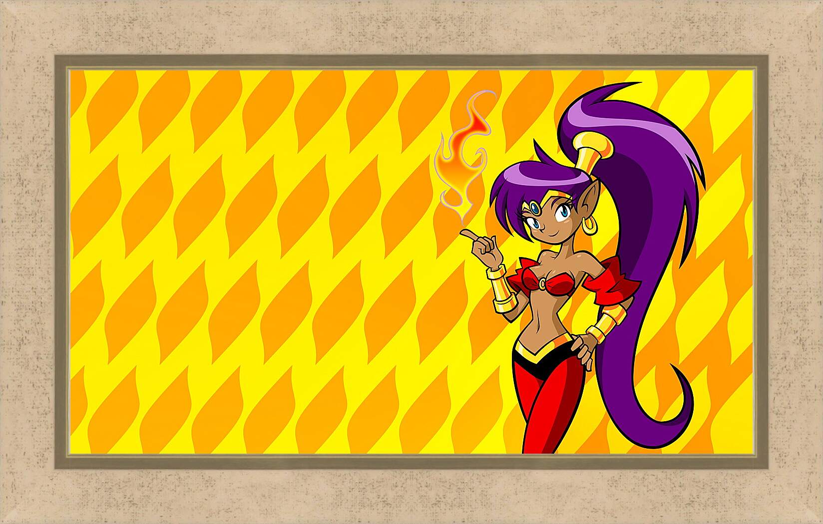 Картина в раме - Shantae: Riskys Revenge
