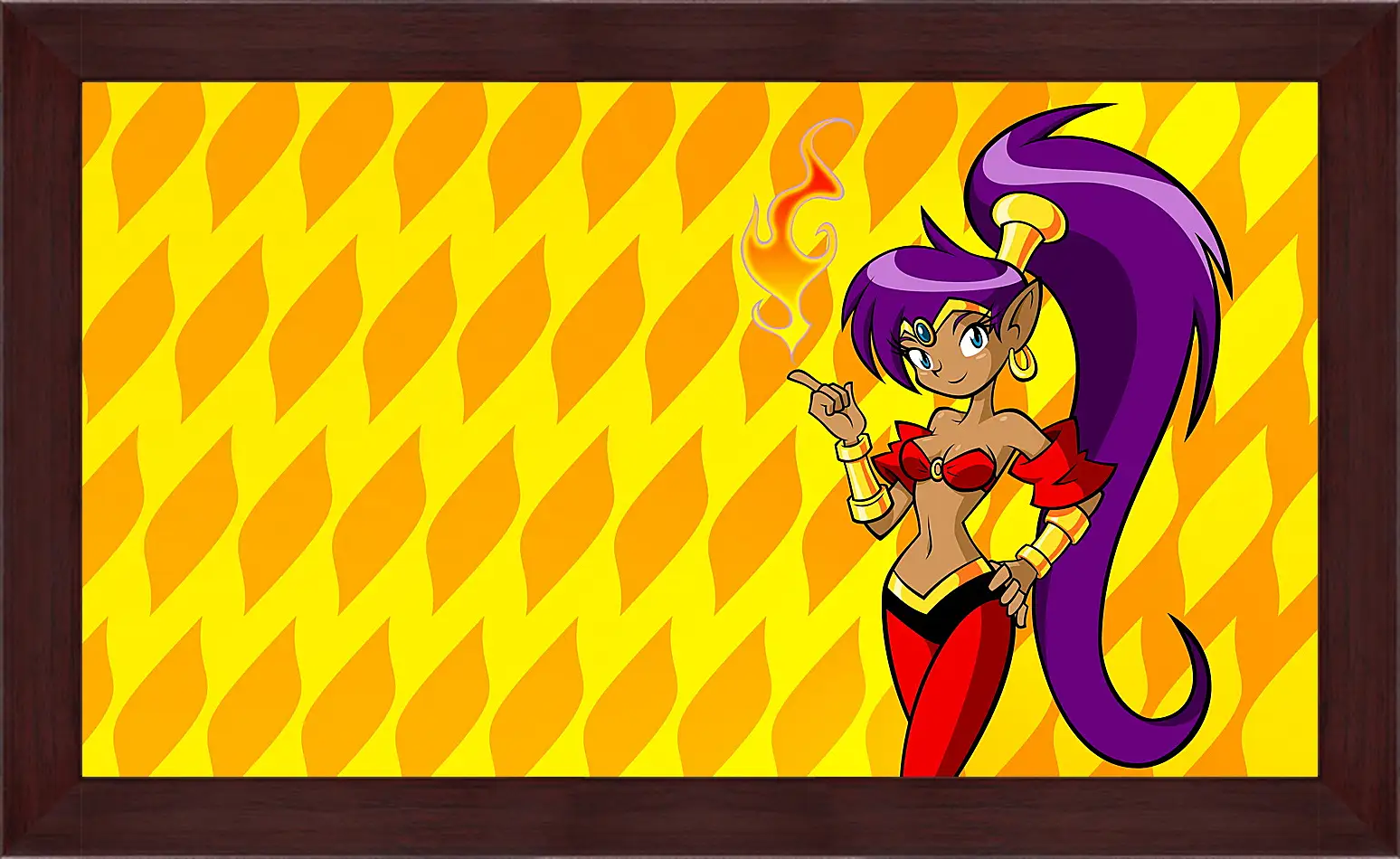 Картина в раме - Shantae: Riskys Revenge
