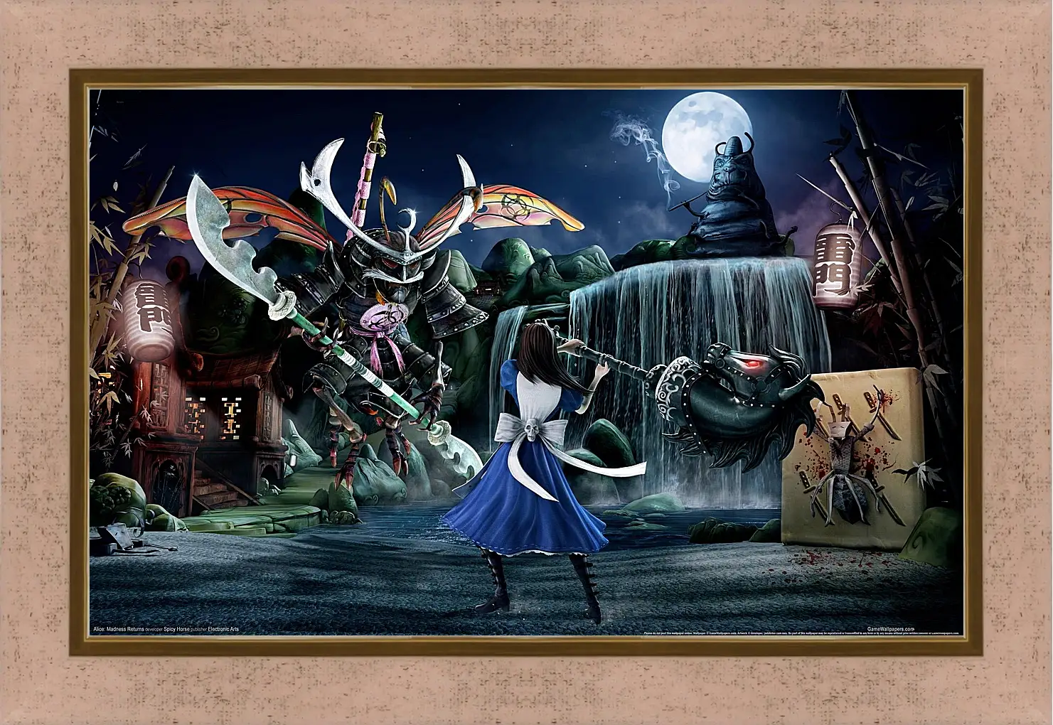 Картина в раме - Alice: Madness Returns
