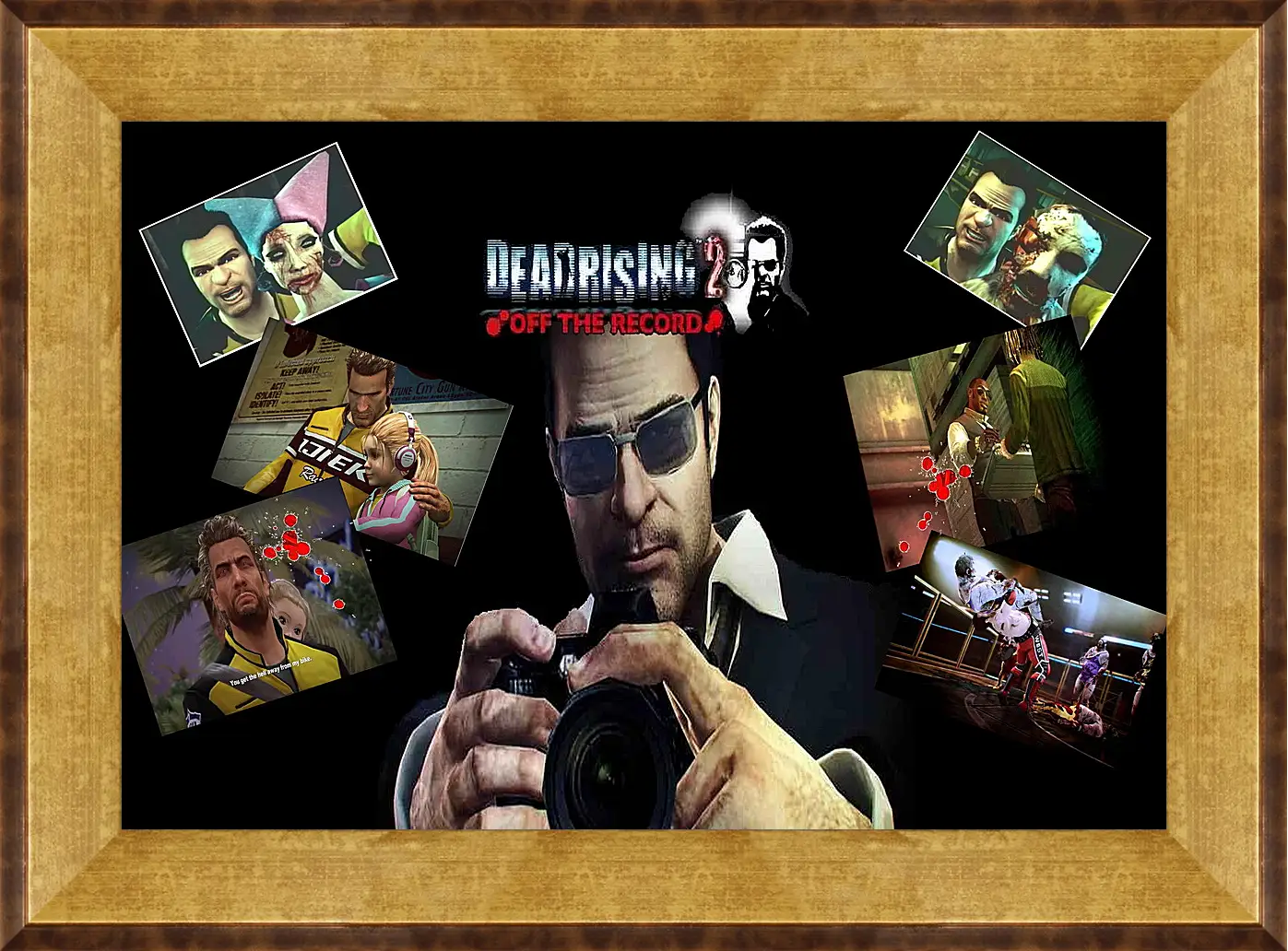 Картина в раме - Dead Rising
