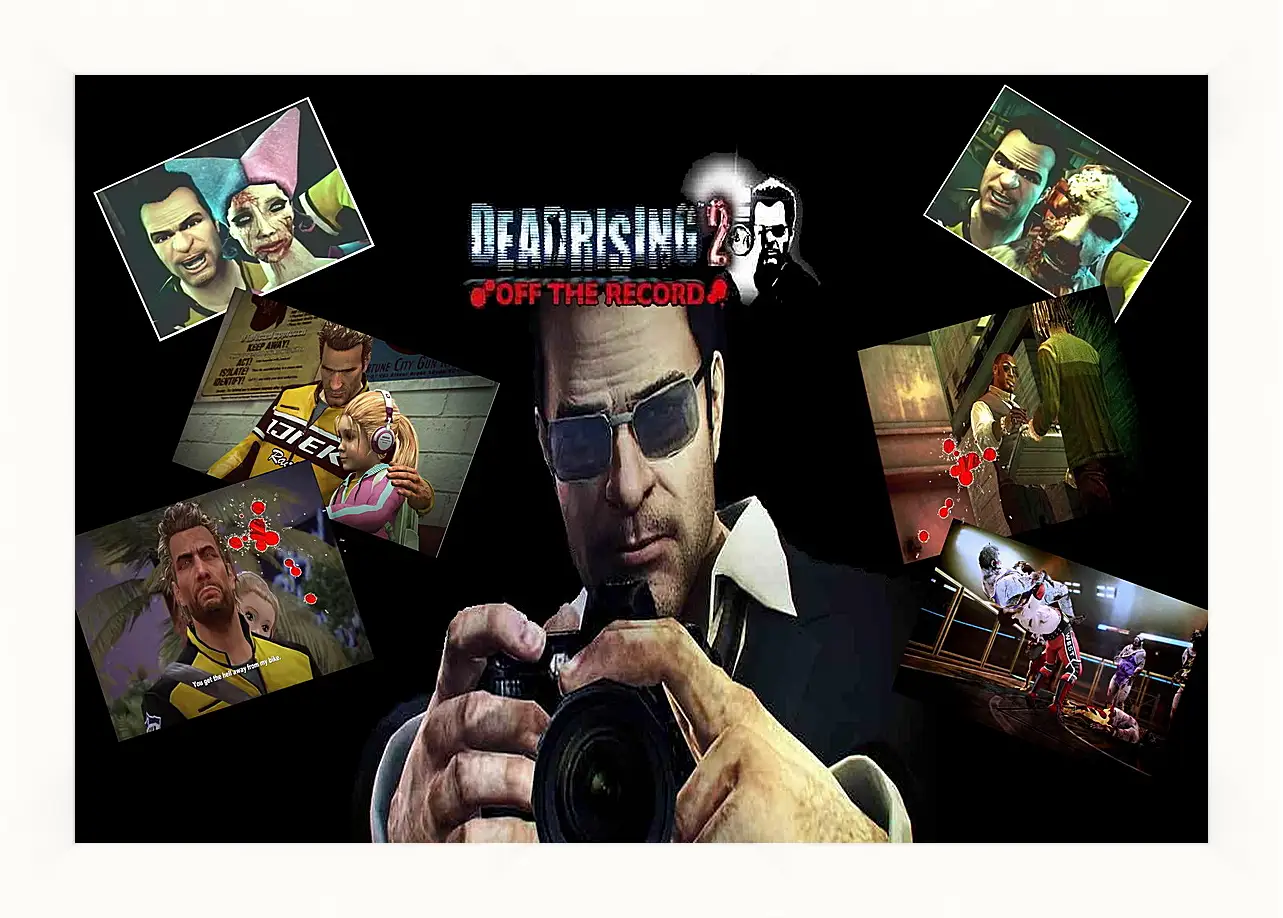 Картина в раме - Dead Rising
