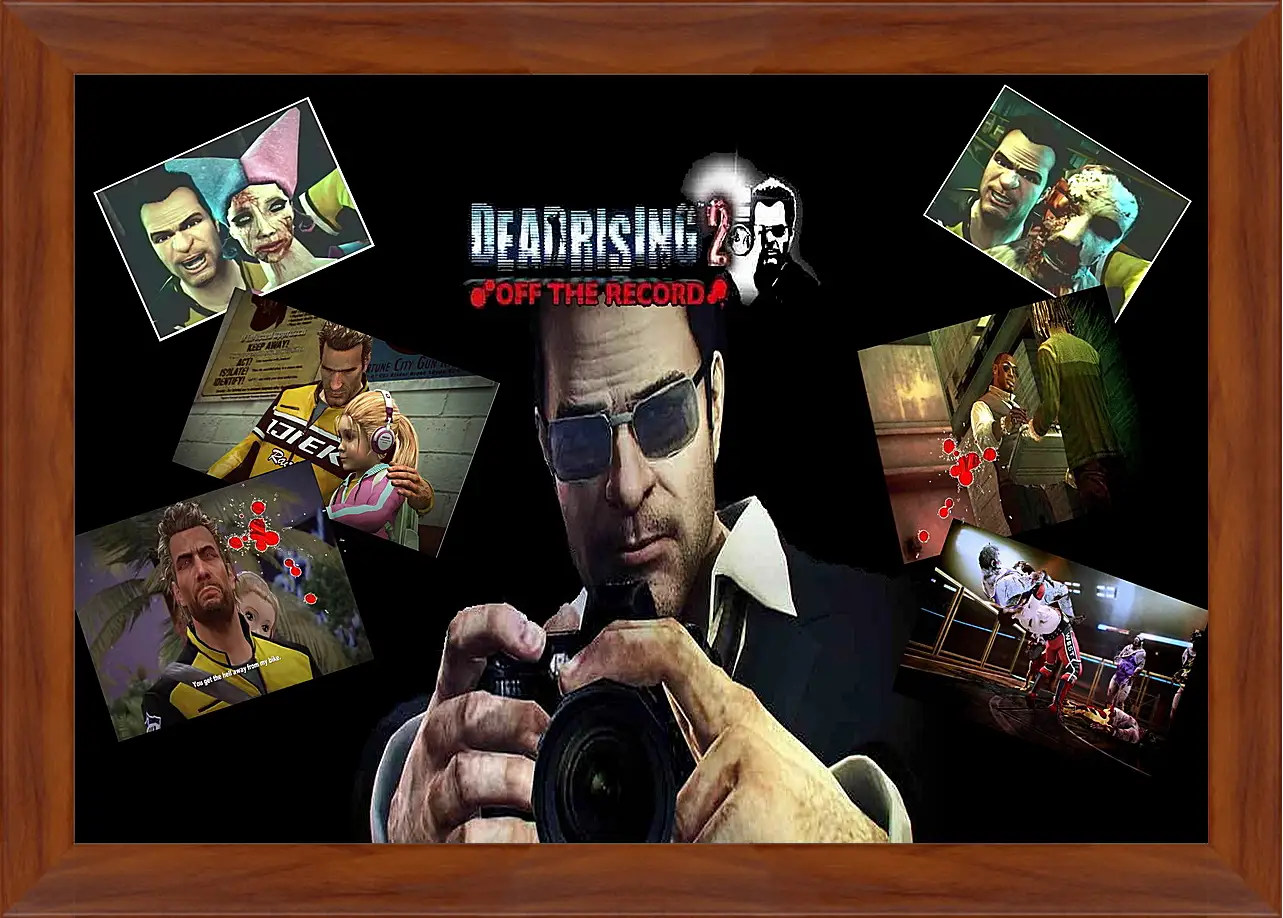 Картина в раме - Dead Rising
