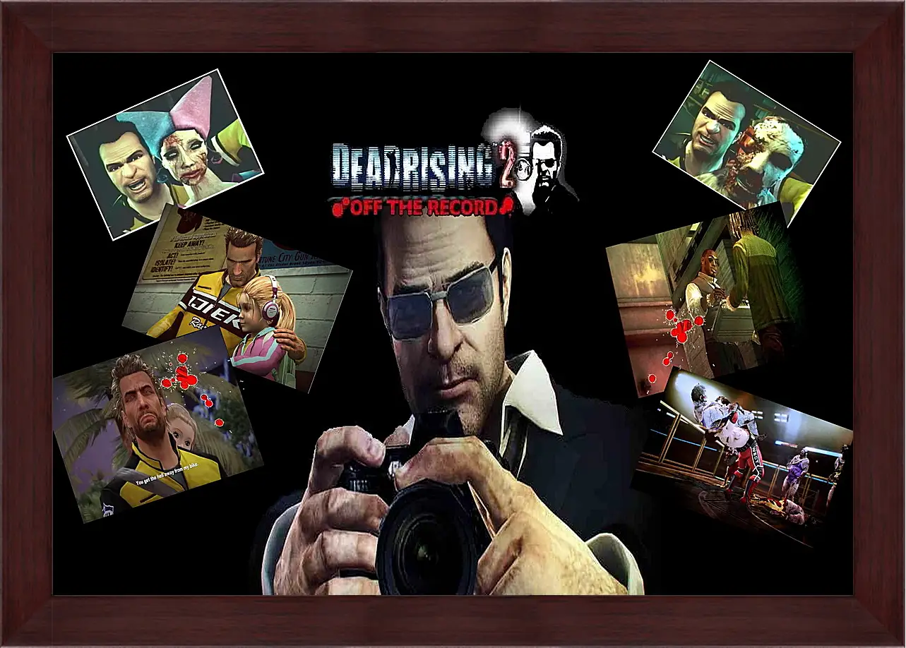 Картина в раме - Dead Rising
