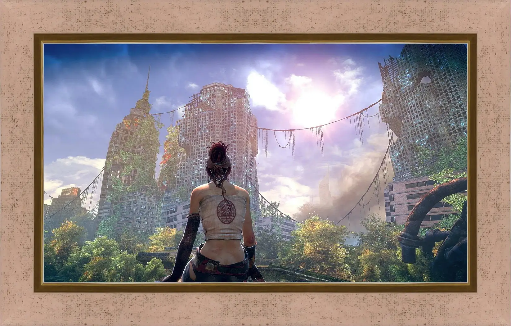 Картина в раме - Enslaved: Odyssey To The West
