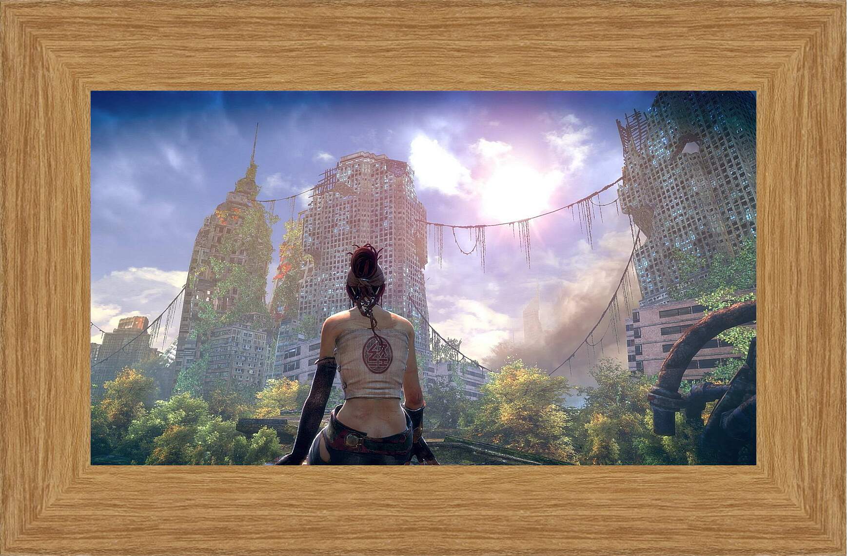 Картина в раме - Enslaved: Odyssey To The West
